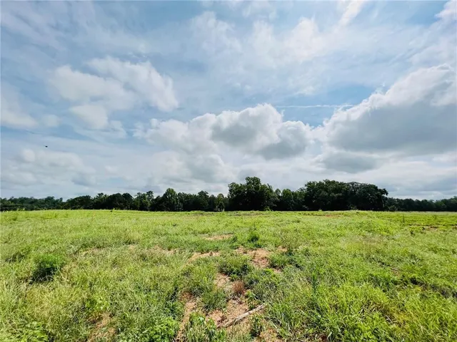 a view of a garden with an outdoor space