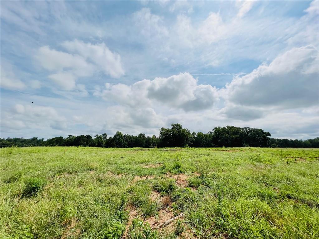 303 Weatherfield Pte Street Southwest Cartersville, GA 30120 - Photo 2 of 3 a view of a garden with an outdoor space