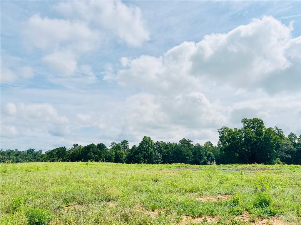 303 Weatherfield Pte Street Southwest Cartersville, GA 30120 - Photo 3 of 3 a view of an outdoor space and mountain view