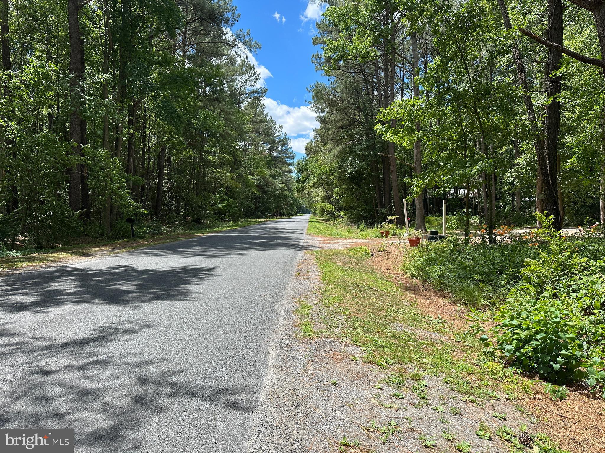 28440 Bloomery Road Federalsburg, MD 21632 - Photo 87 of 94