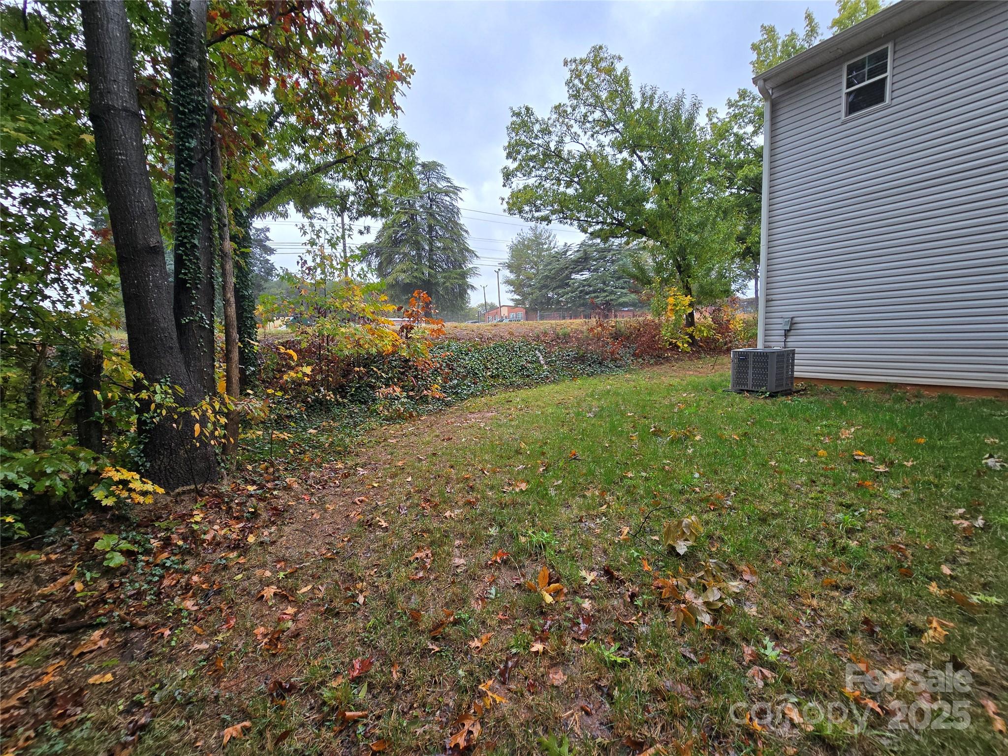 103 Spring Drive Salisbury, NC 28144 - Photo 18 of 21 a view of a tree in front of a house