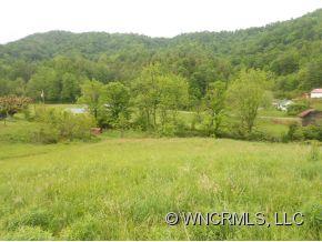 1035 Sprinkle Creek Road Mars Hill, NC 28754 - Photo 3 of 4 Gallery Image 3