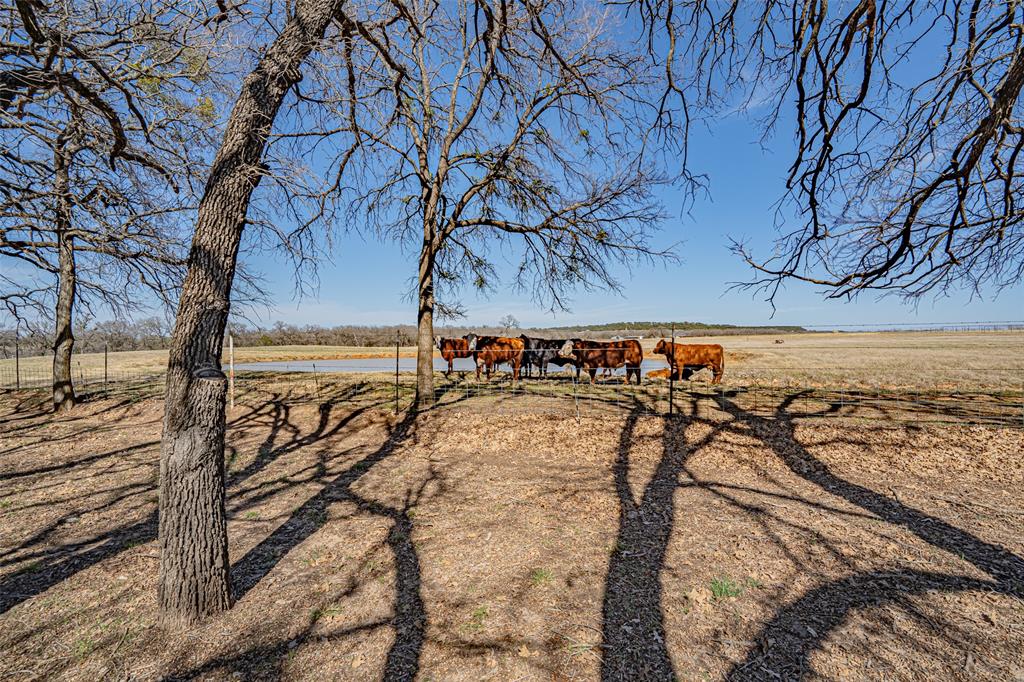 3250 Neri Road Granbury, TX 76048 - Photo 11 of 36