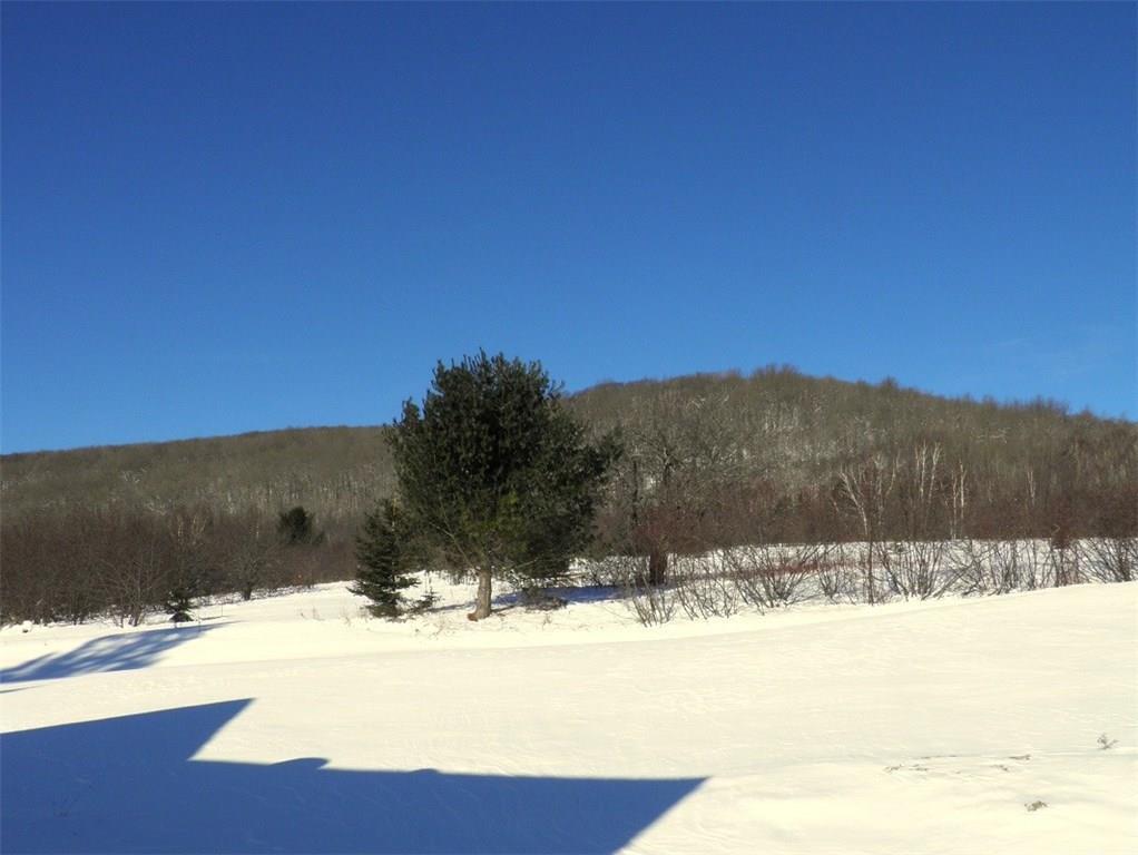290 Pond Road Dyer Brook, ME 04747 - Photo 1 of 5 Maine Land for Sale in Dyer Brook