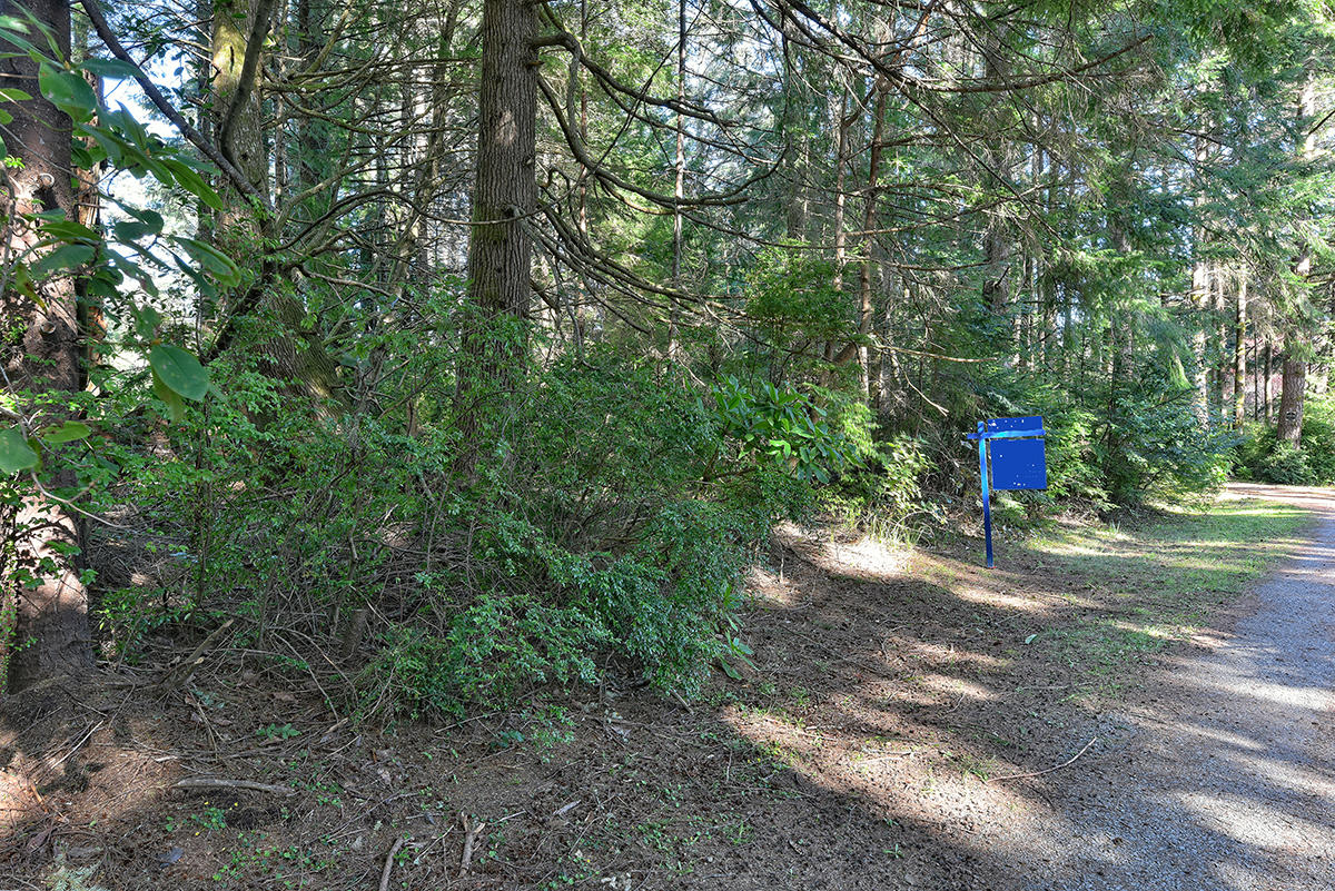 Tl306 Park Road Port Orford, OR 97465 - Photo 1 of 7 DSC_6517