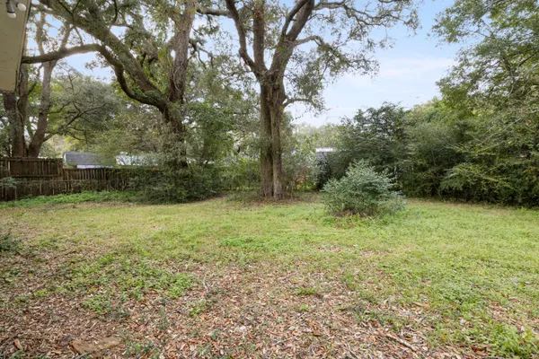a view of a yard with a tree