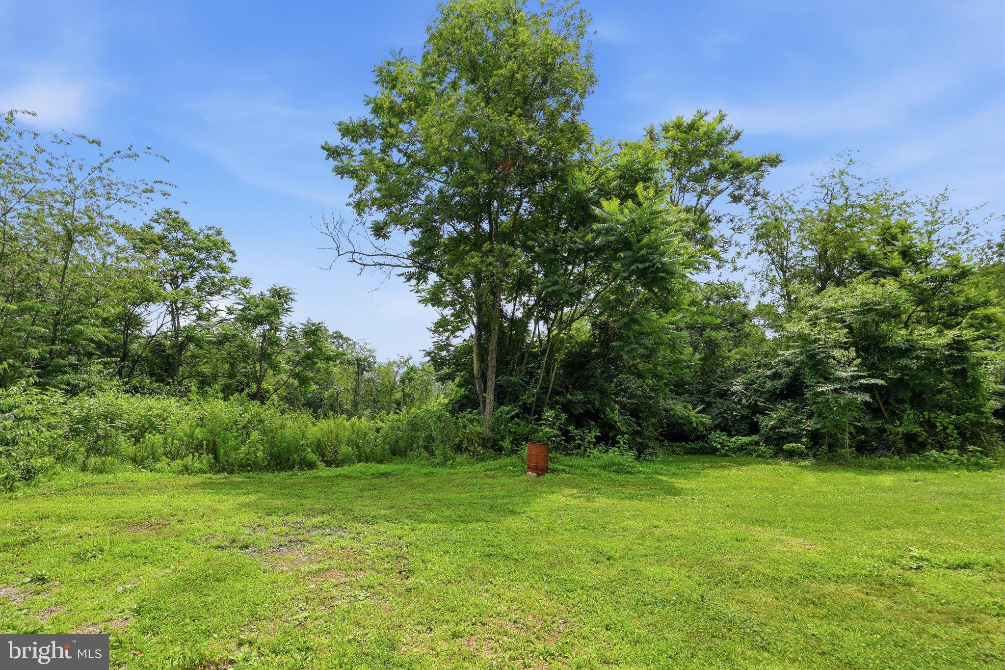 12106 Divide Ridge Road Little Orleans, MD 21766 - Photo 42 of 42 F05A2359