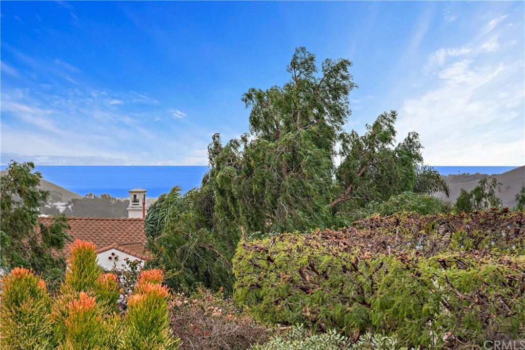 18 Calle Pacifica San Clemente, CA 92673 - Photo 60 of 75