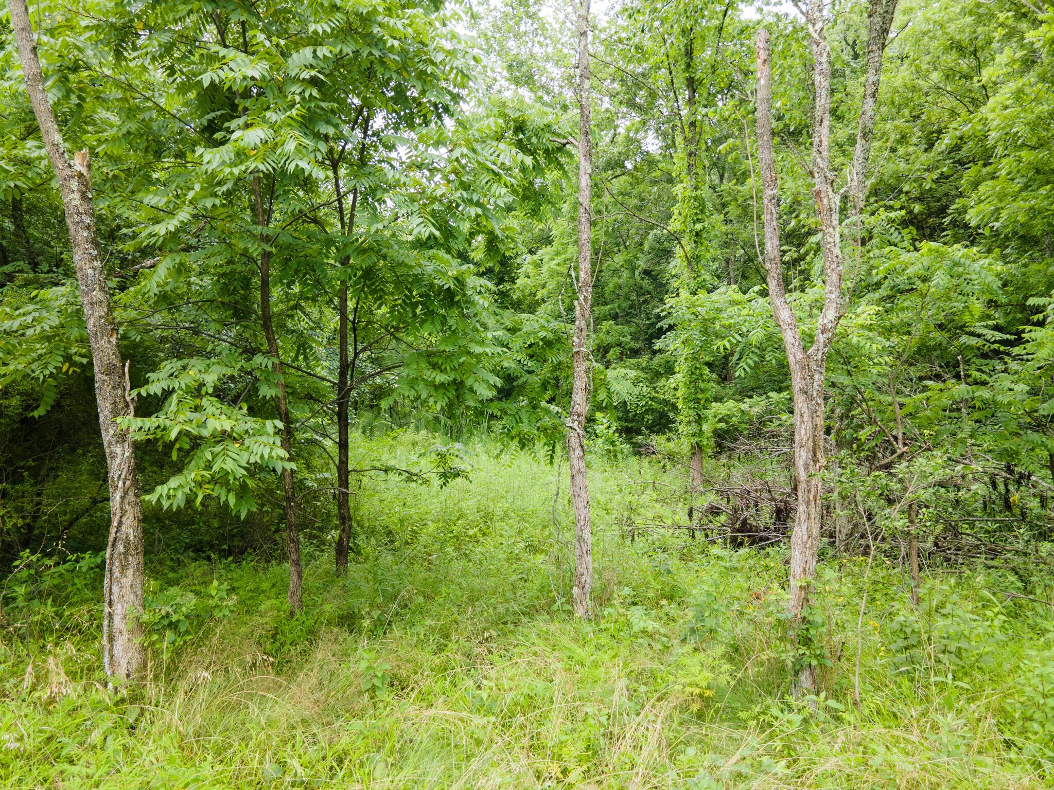 0 White Eyes Road Norwich, OH 43767 - Photo 13 of 14 DJI_0026