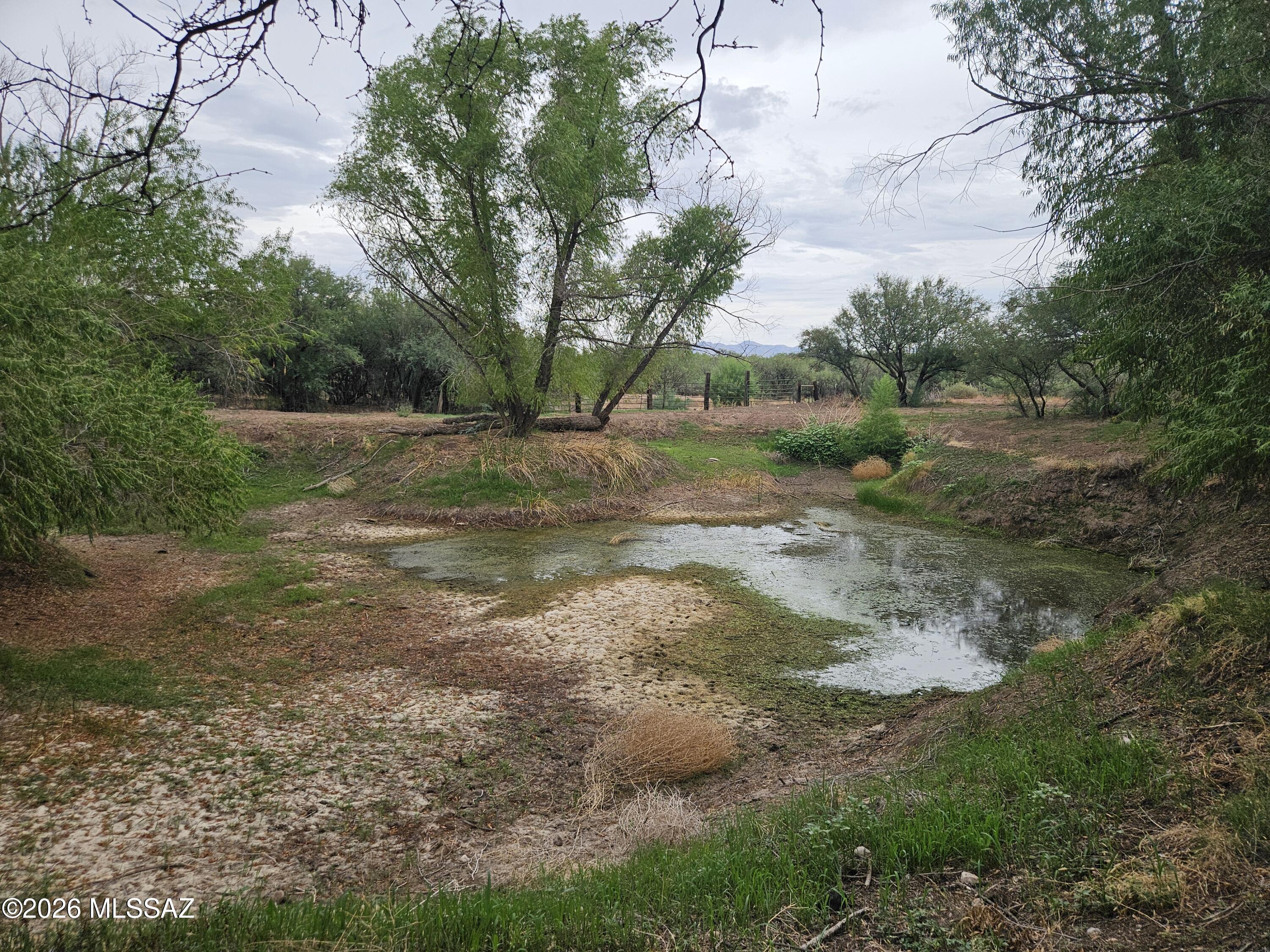1115 North Mill Iron Road St. David, AZ 85630 - Photo 11 of 11