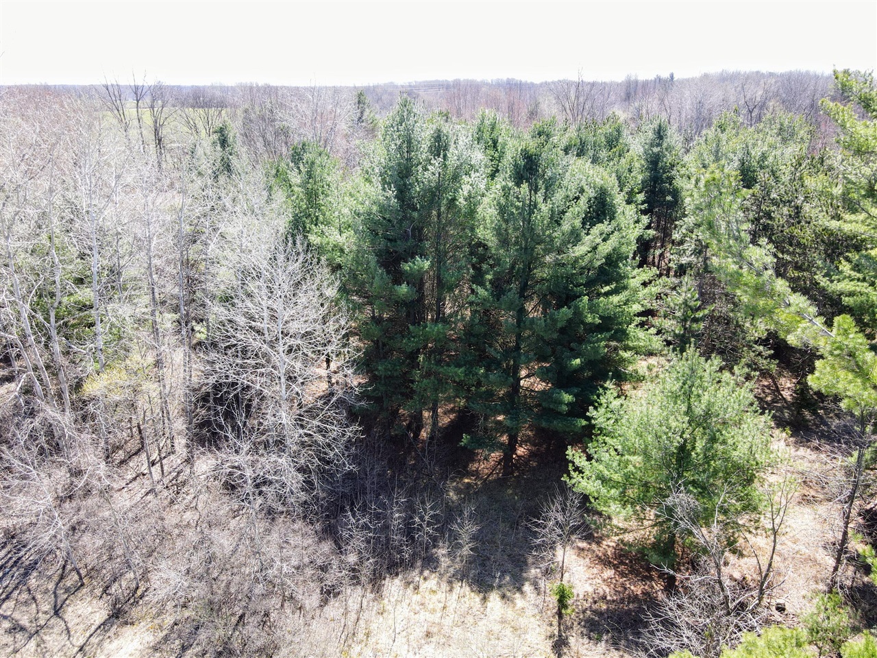 20 West A W Coe Road Shepherd, MI 48883 - Photo 8 of 15
