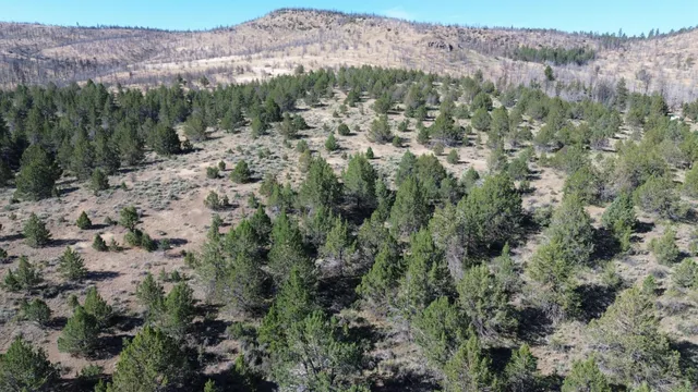 $40,000 | Lot 28 Butte Road, Adin, CA 96006