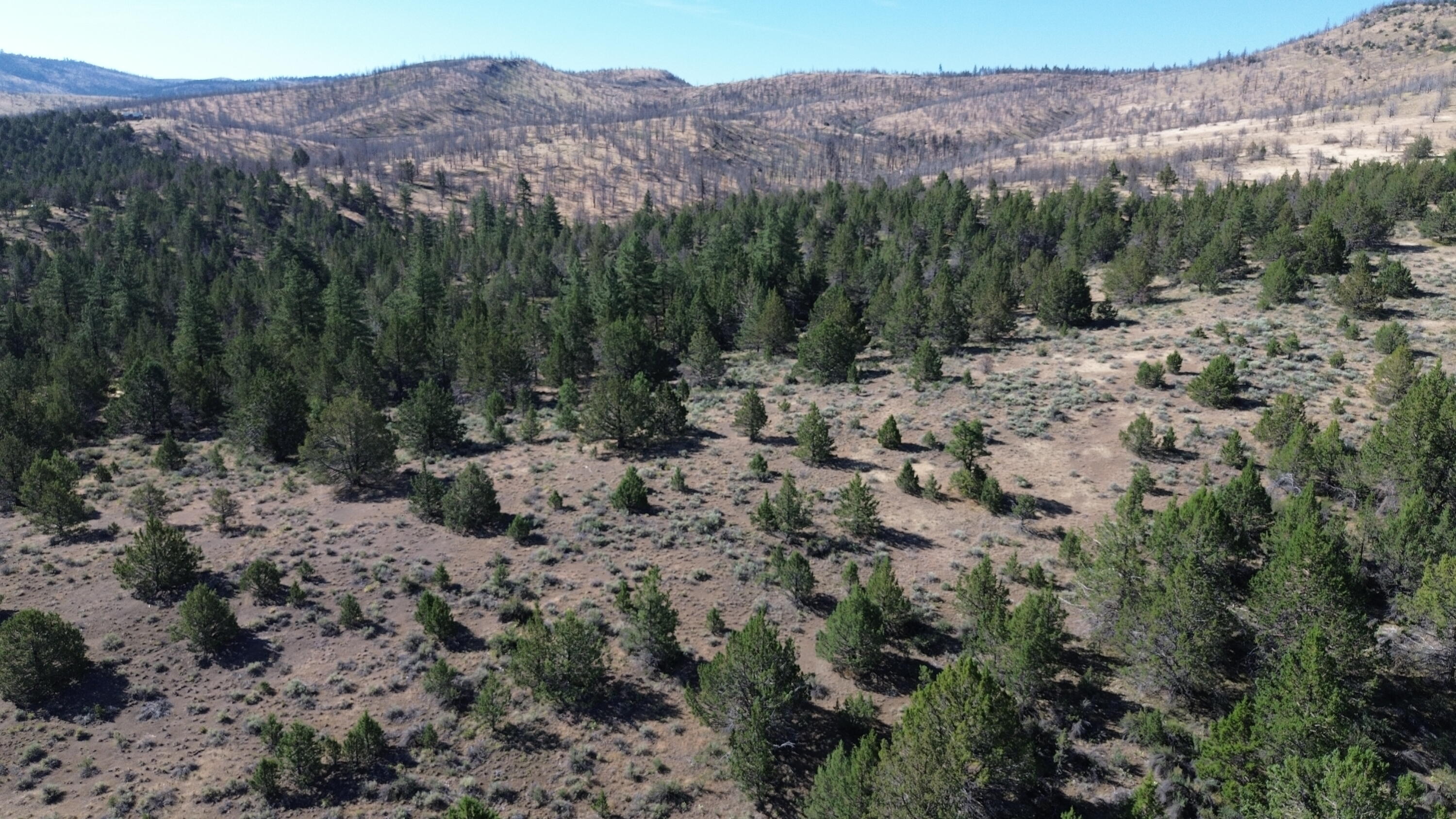 Lot 28 Butte Road Adin, CA 96006 - Photo 15 of 19 DJI_0188