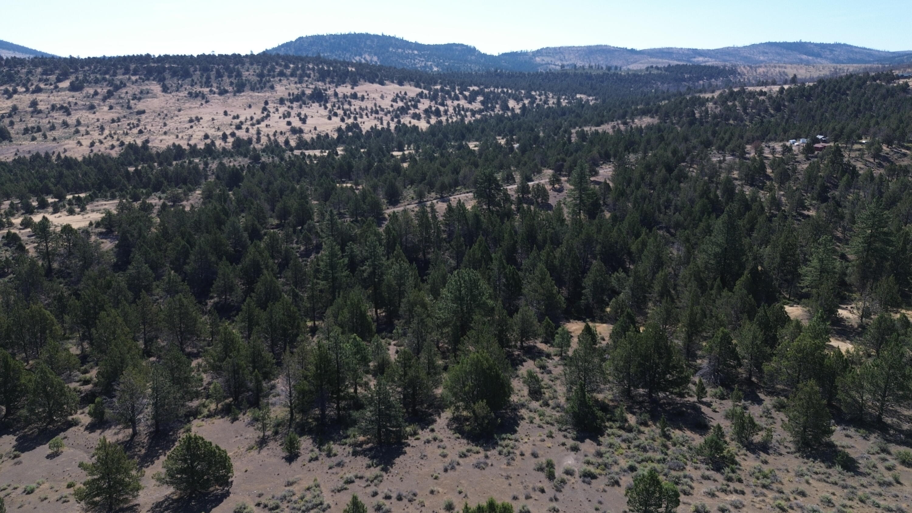 Lot 28 Butte Road Adin, CA 96006 - Photo 17 of 19 DJI_0190