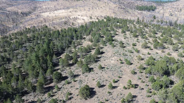 $40,000 | Lot 28 Butte Road, Adin, CA 96006