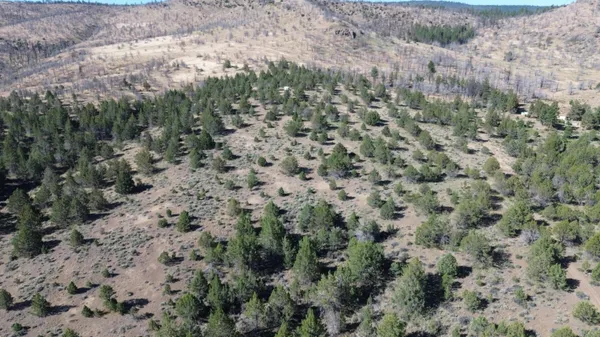 $40,000 | Lot 28 Butte Road, Adin, CA 96006