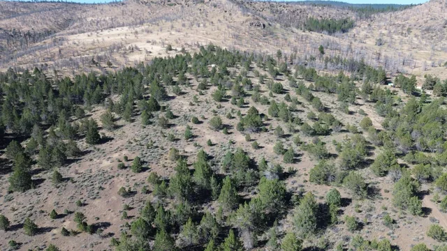 $40,000 | Lot 28 Butte Road, Adin, CA 96006