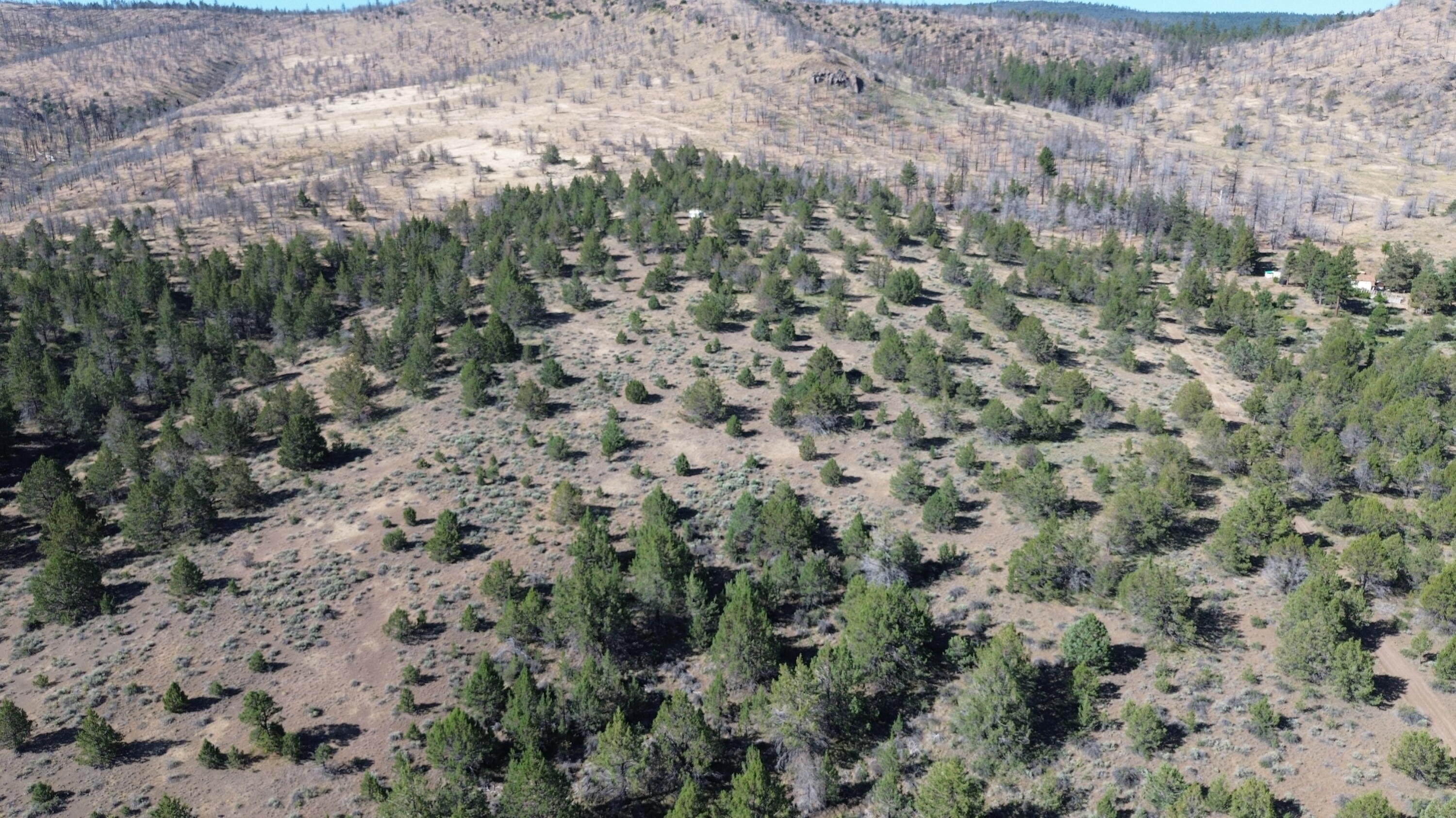 Lot 28 Butte Road Adin, CA 96006 - Photo 3 of 19 DJI_0195