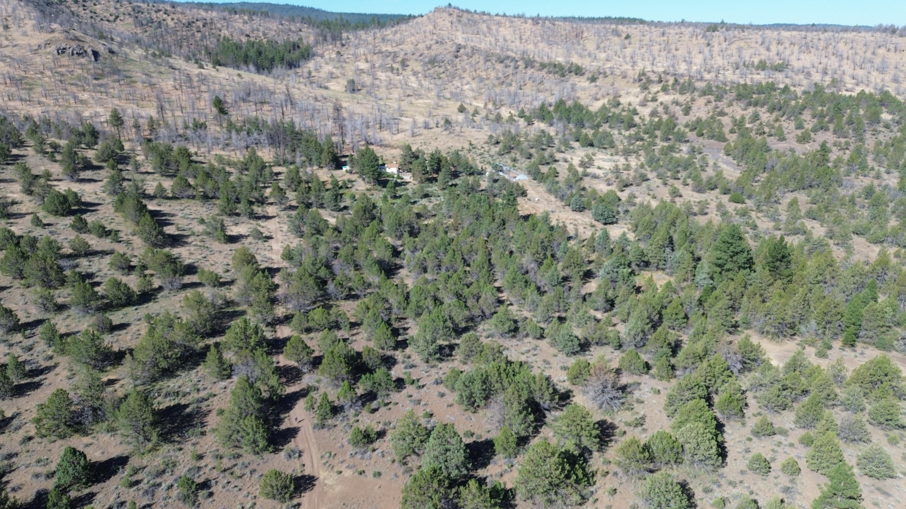 Lot 28 Butte Road Adin, CA 96006 - Photo 4 of 19 DJI_0196