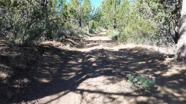 $40,000 | Lot 28 Butte Road, Adin, CA 96006