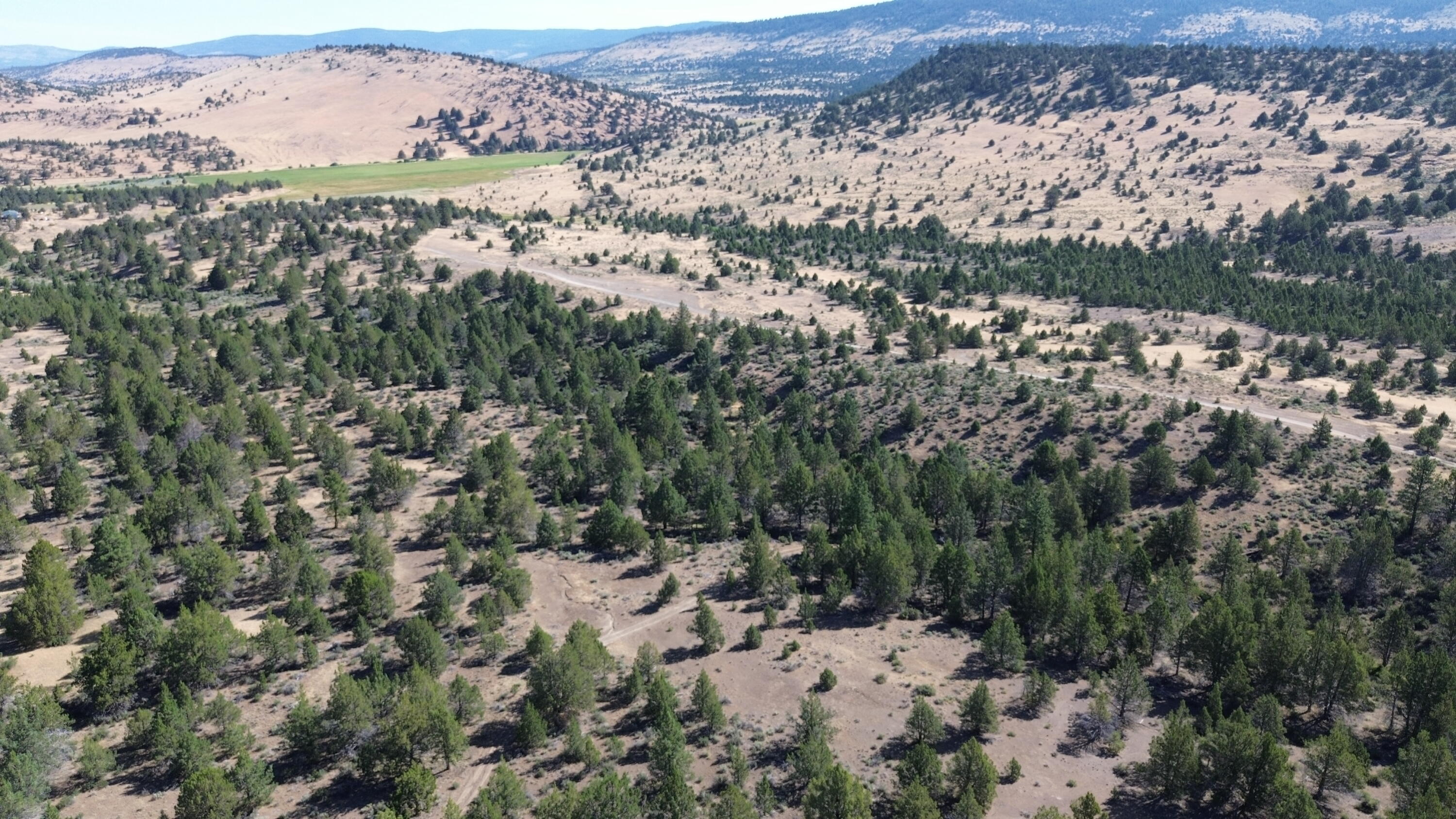 Lot 28 Butte Road Adin, CA 96006 - Photo 9 of 19 DJI_0193