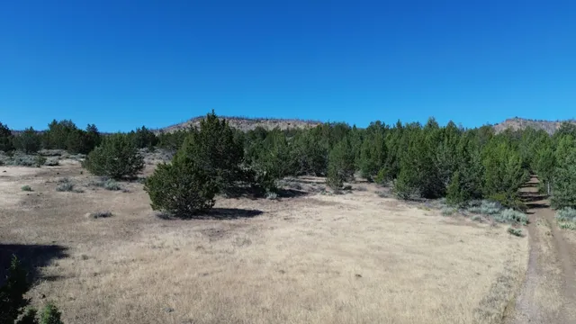 $40,000 | Lot 28 Butte Road, Adin, CA 96006