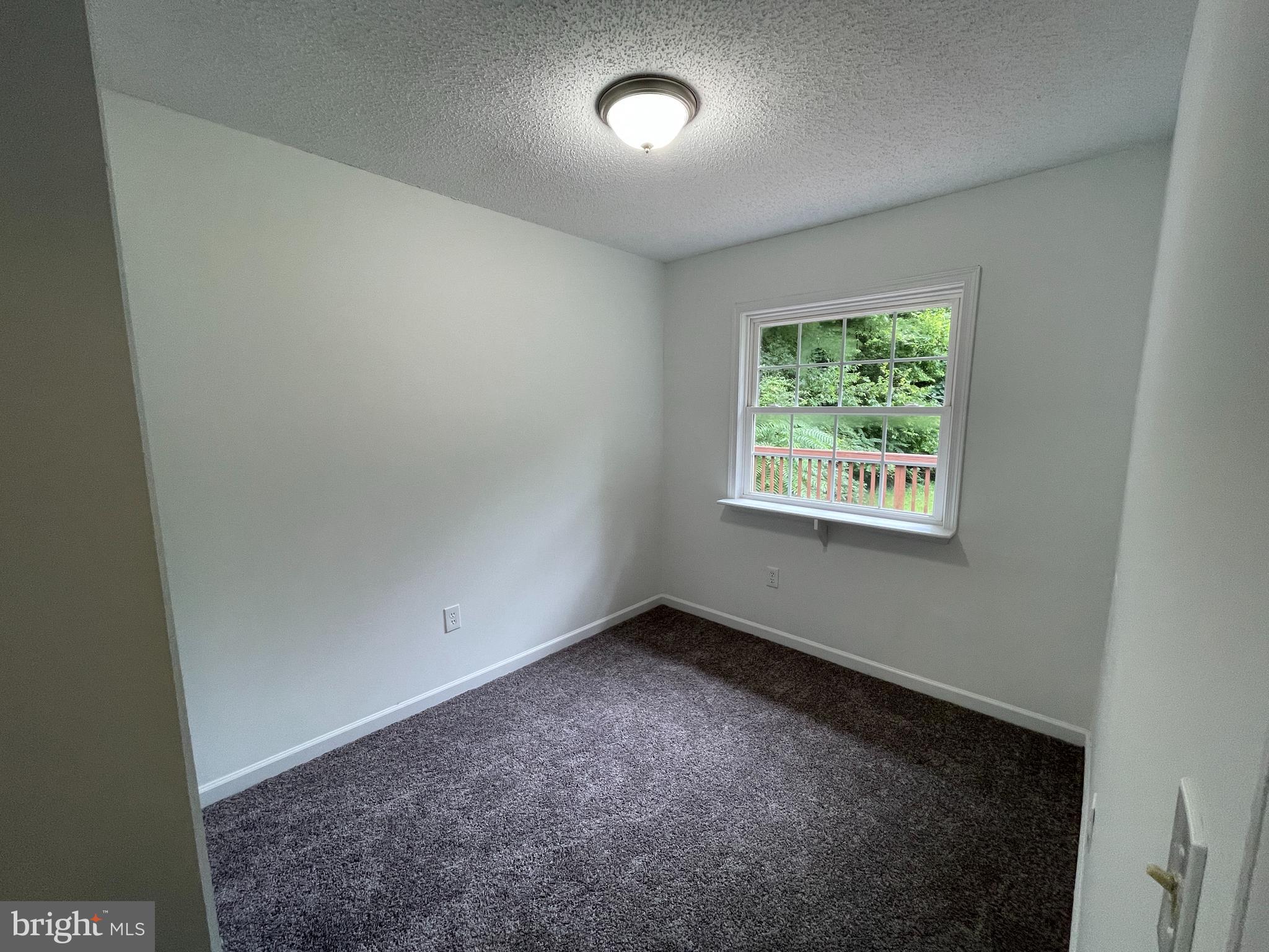 20147 Sparta Road Milford, VA 22514 - Photo 8 of 11 Gallery Image 8
