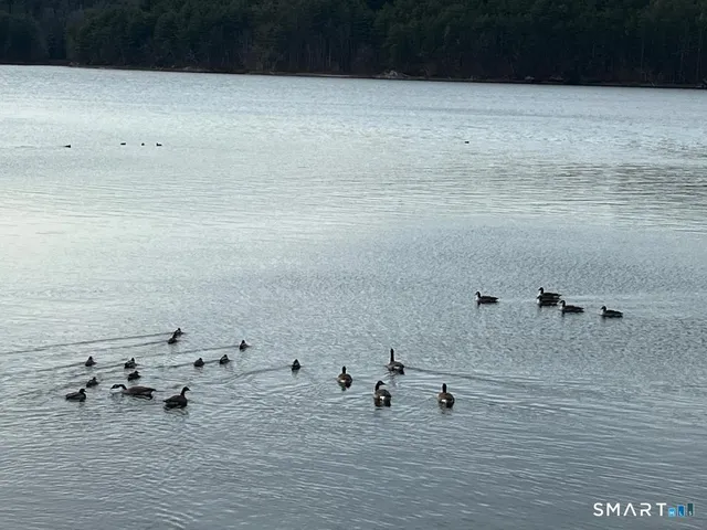 $2,200 | 71 Ellington Road, Tolland, CT 06084