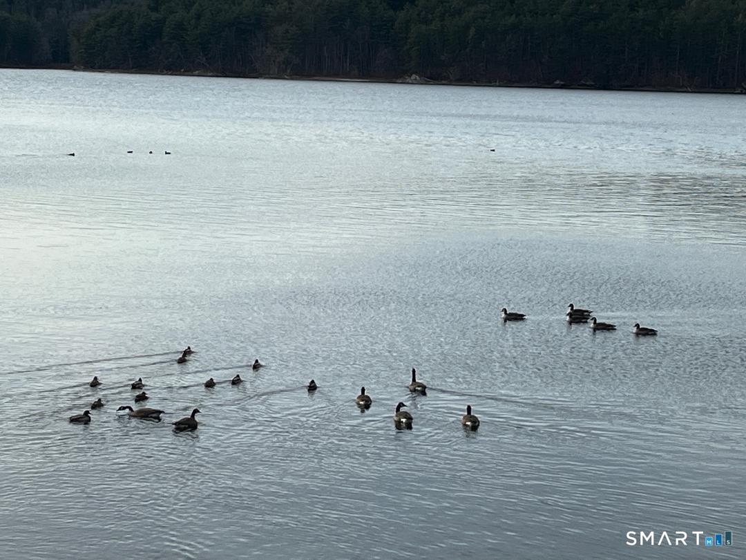 71 Ellington Road Tolland, CT 06084 - Photo 25 of 25 View from Deck