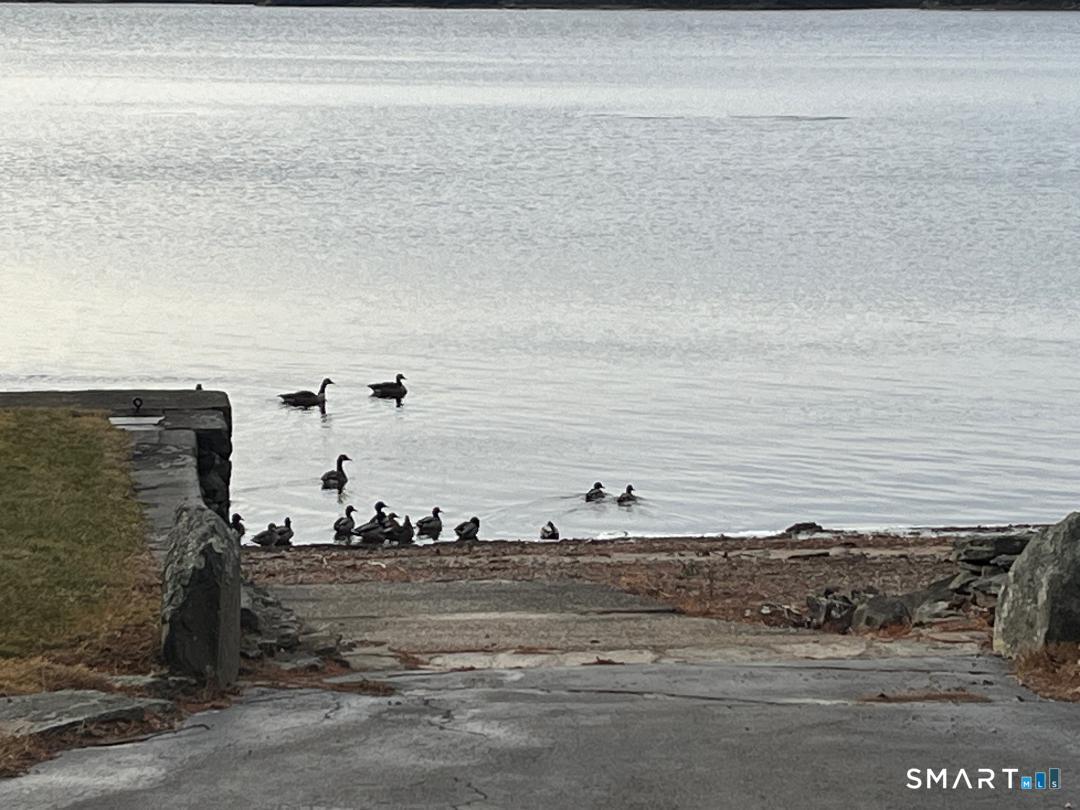 71 Ellington Road Tolland, CT 06084 - Photo 4 of 25