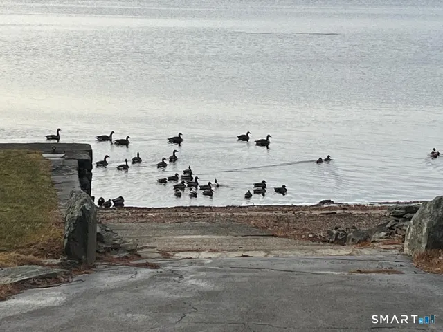 $2,200 | 71 Ellington Road, Tolland, CT 06084