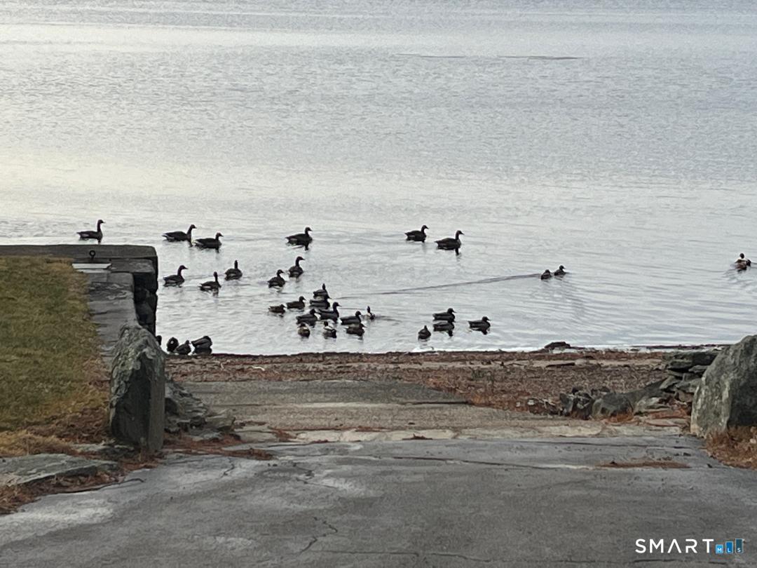 71 Ellington Road Tolland, CT 06084 - Photo 5 of 25