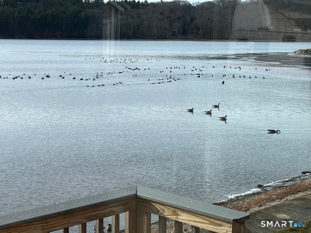 71 Ellington Road Tolland, CT 06084 - Photo 7 of 25 View from Living Room