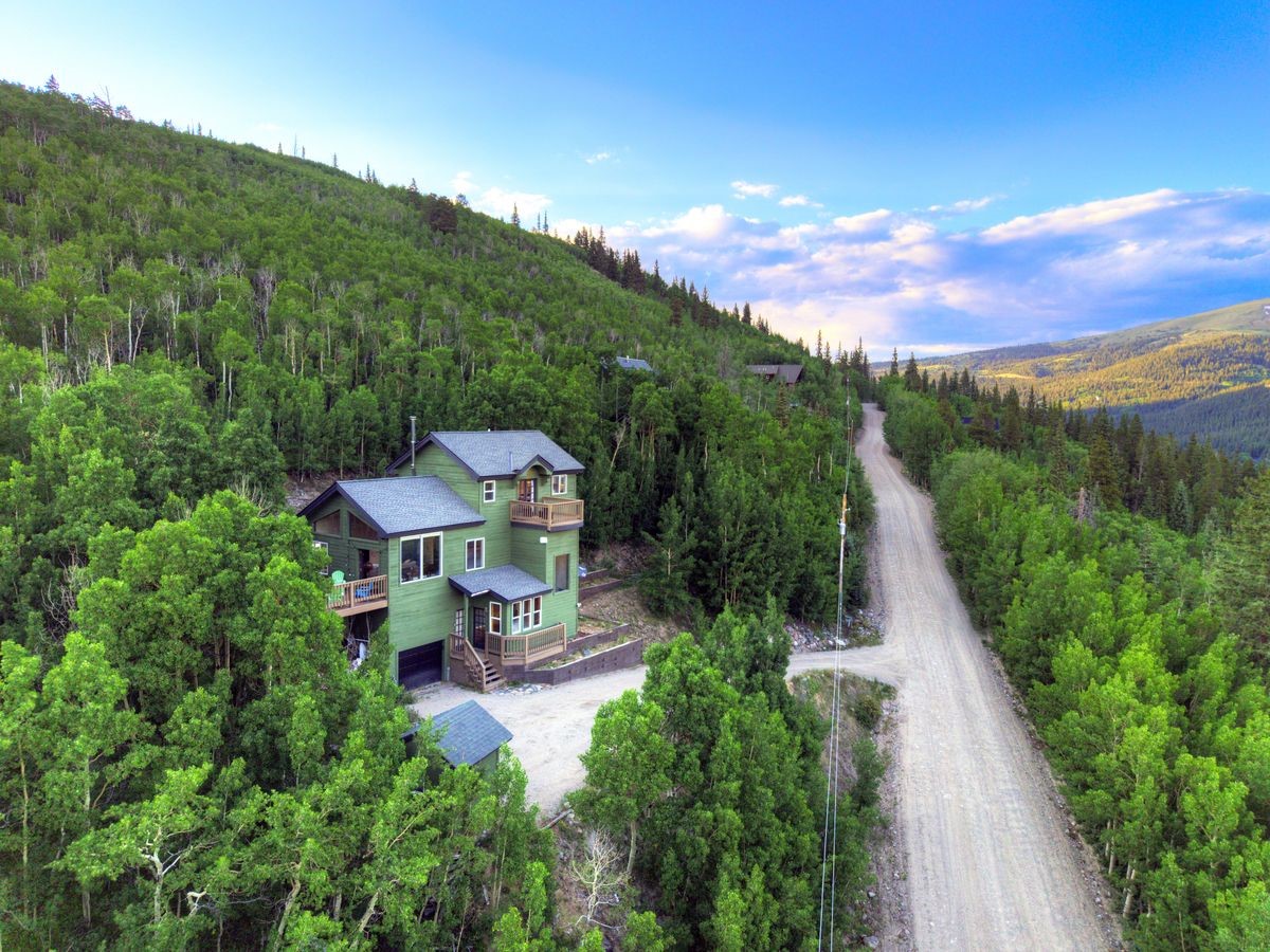 1095 Quartzville Road Alma, CO 80420 - Photo 43 of 48