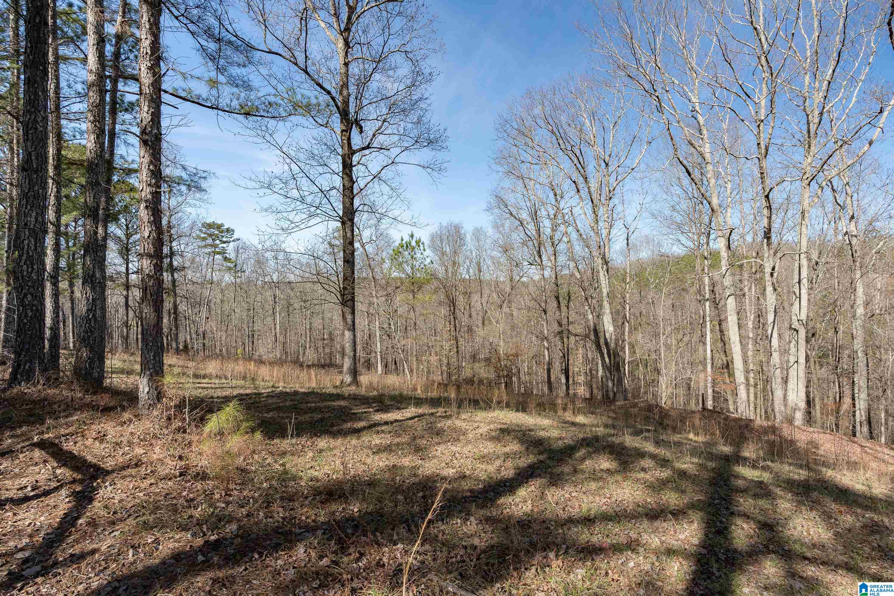 1276 County Highway 7 Hayden, AL 35079 - Photo 59 of 68