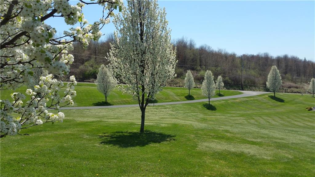 418 Cole Road Sarver, PA 16055 - Photo 25 of 25