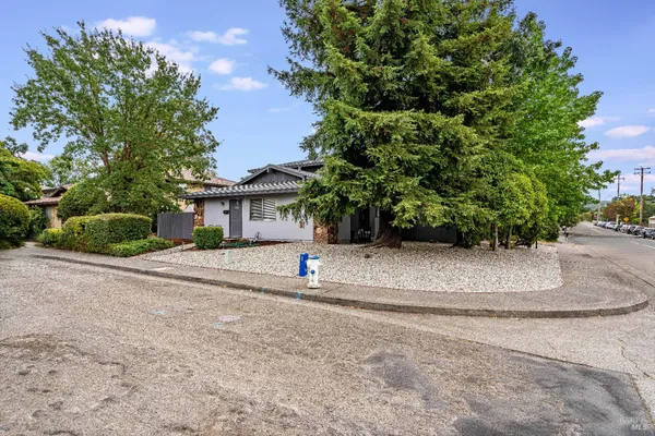 a view of a house with a yard and plant