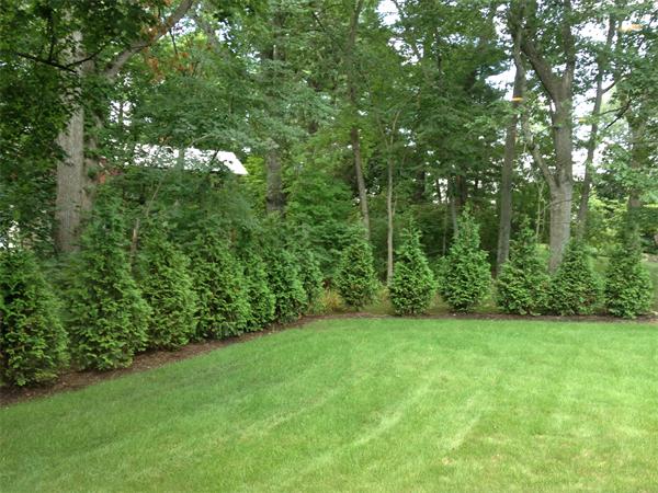 188 Collins Road Newton, MA 02468 - Photo 25 of 27 Gallery Image 25
