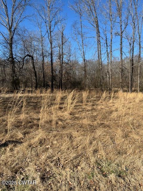 0 Sloan Road Springville, TN 38256 - Photo 1 of 3 IMG_0845