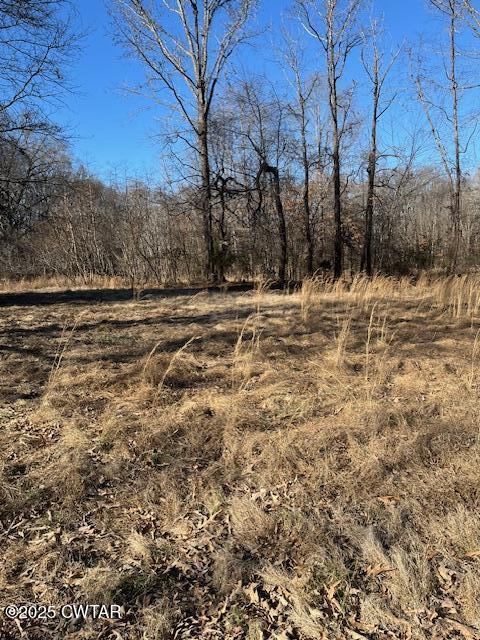 0 Sloan Road Springville, TN 38256 - Photo 2 of 3 IMG_0844
