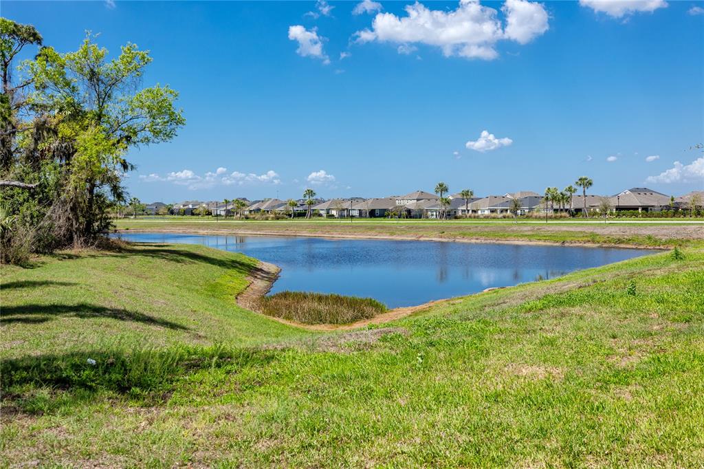 5556 Summer Sunset Drive Apollo Beach, FL 33572 - Photo 37 of 49