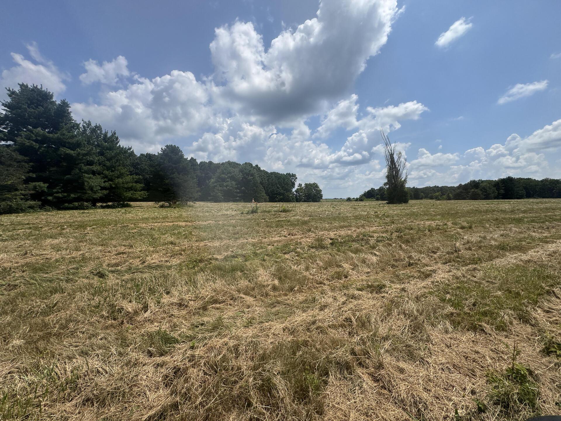 370 Golf Course Road, Unit TRACT 5 SKYLINEACRES) Waverly, OH 45690 - Photo 12 of 38 CT-12