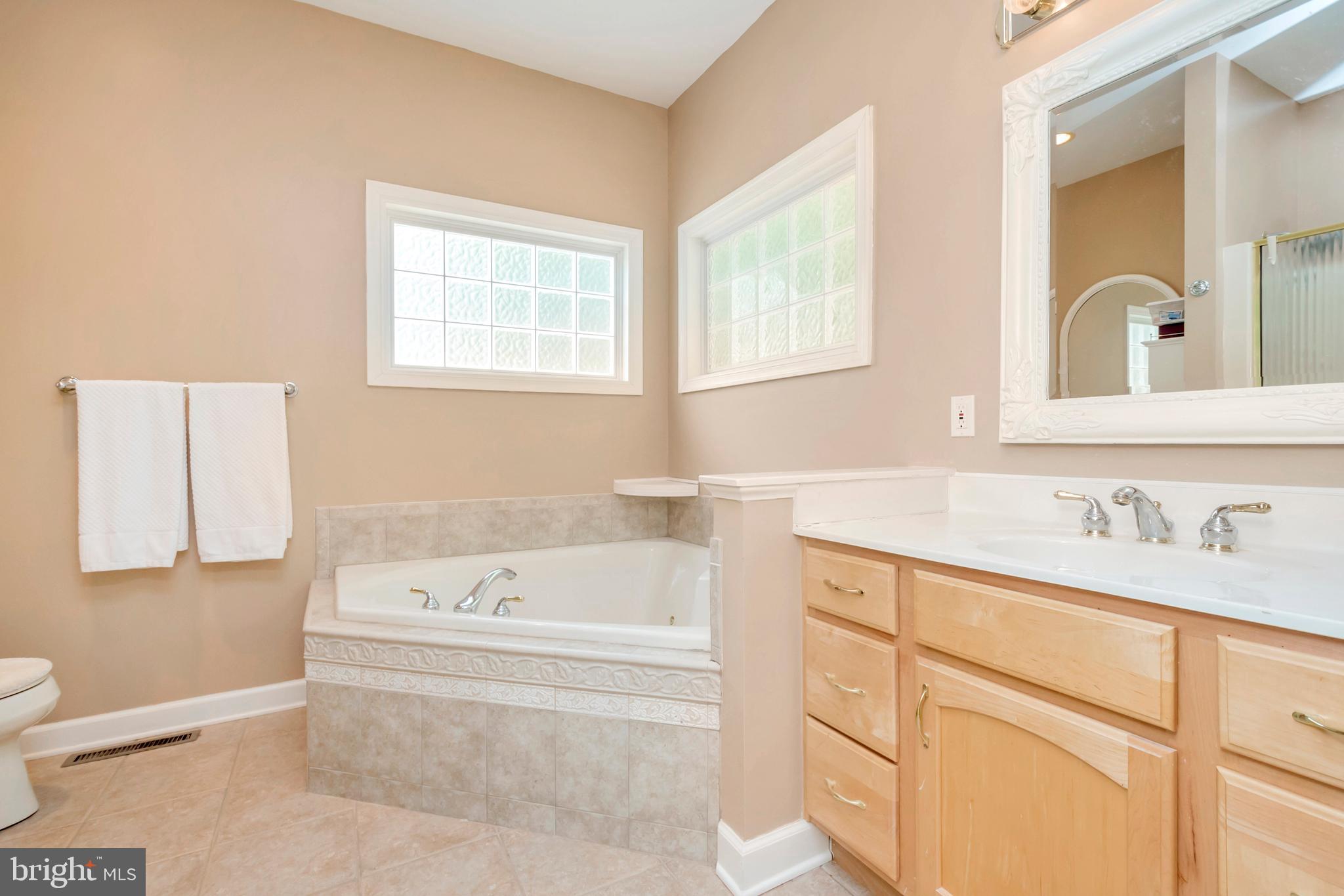 116 Indian Hills Road Locust Grove, VA 22508 - Photo 19 of 32 Master bath retreat