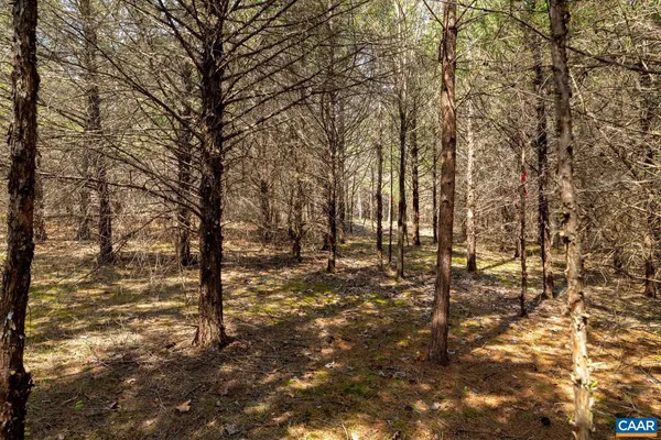 $150,000 | 1280 Jones Overlook, Unit 53, Howardsville, VA 24562