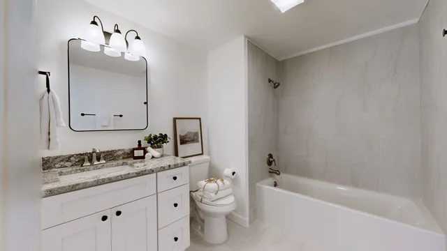a bathroom with a double vanity sink toilet mirror and bathtub
