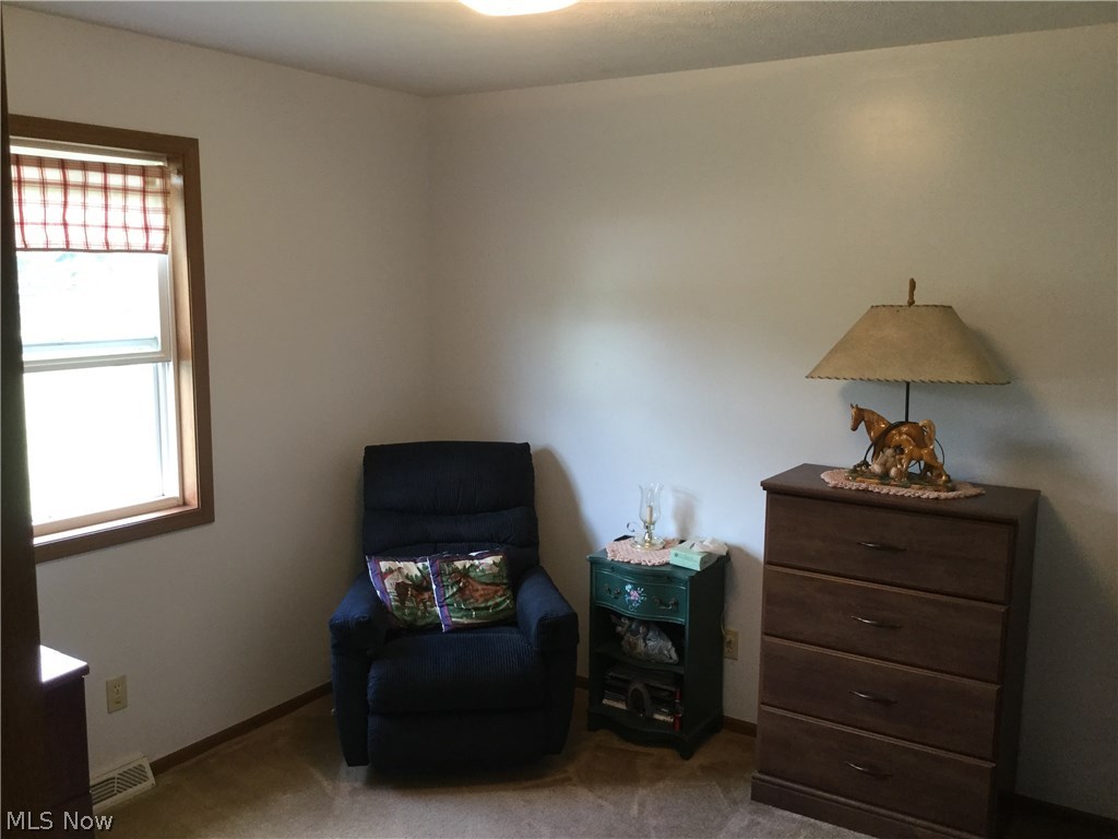 4484 Beat Road Litchfield, OH 44253 - Photo 15 of 30 Gallery Image 15