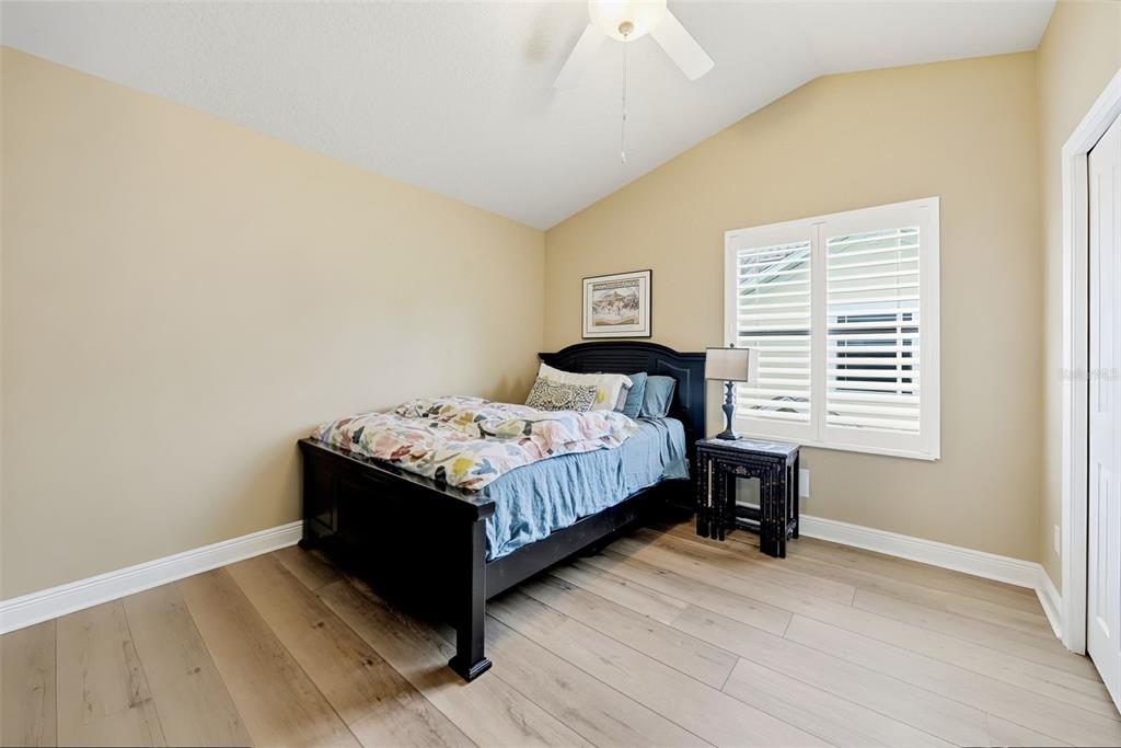 497 Harbor Ridge Drive Palm Harbor, FL 34683 - Photo 25 of 52
