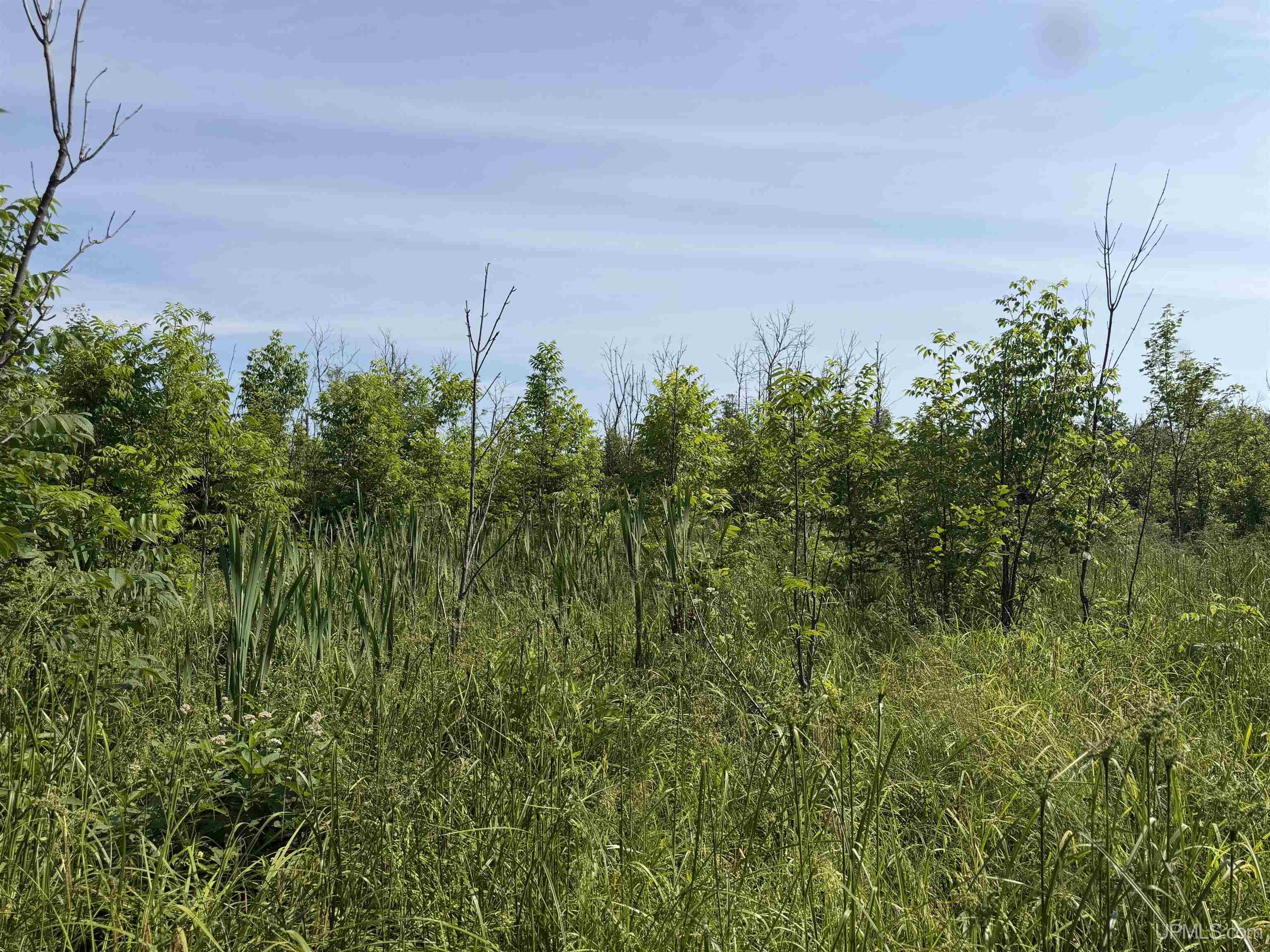 Tbd Grist Mill Road Baraga, MI 49908 - Photo 2 of 7