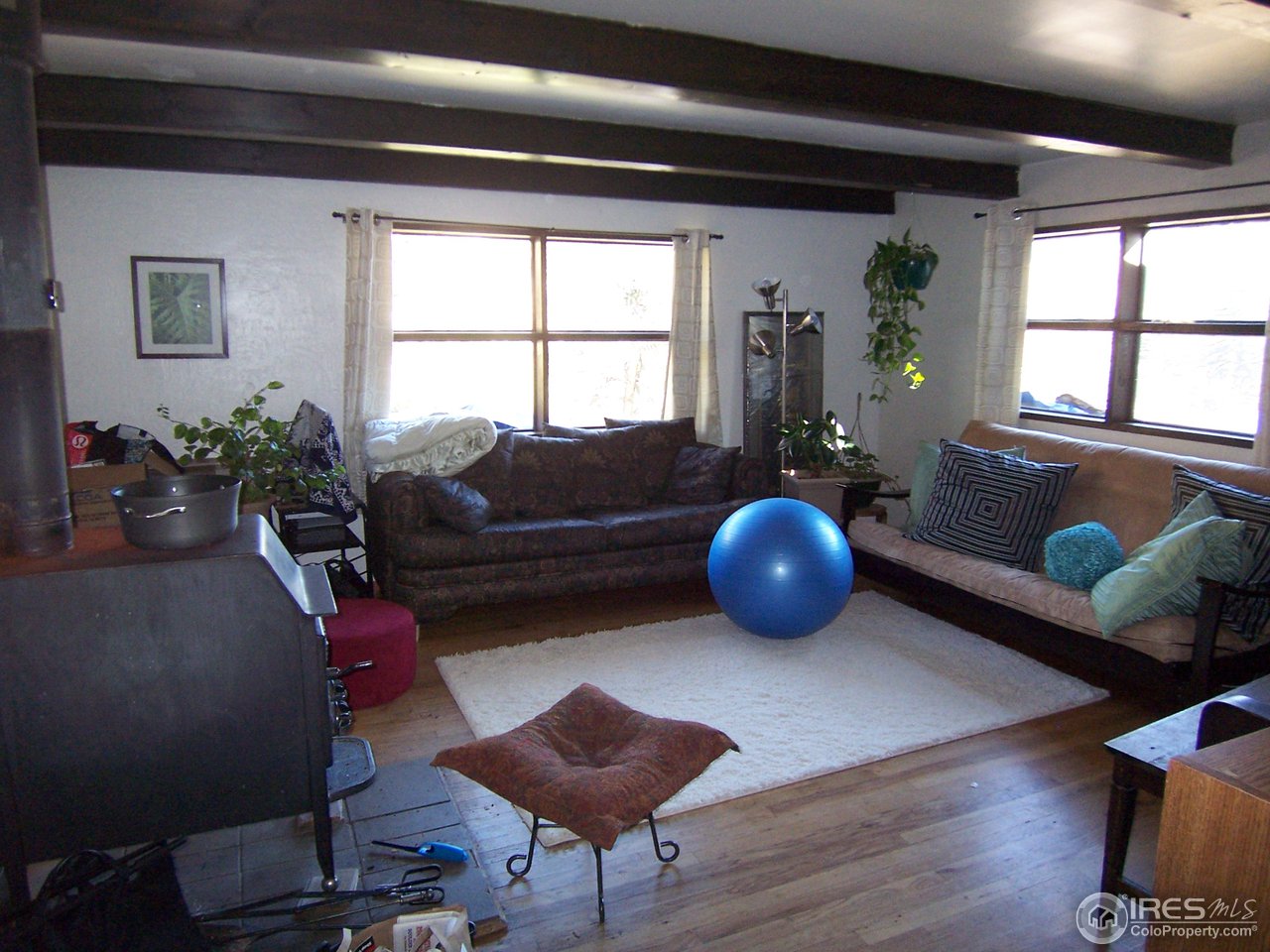 223 Gold Run Road Boulder, CO 80302 - Photo 4 of 18 a living room with furniture a window and plants