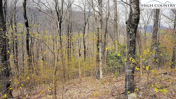 a view of a pathway of a building